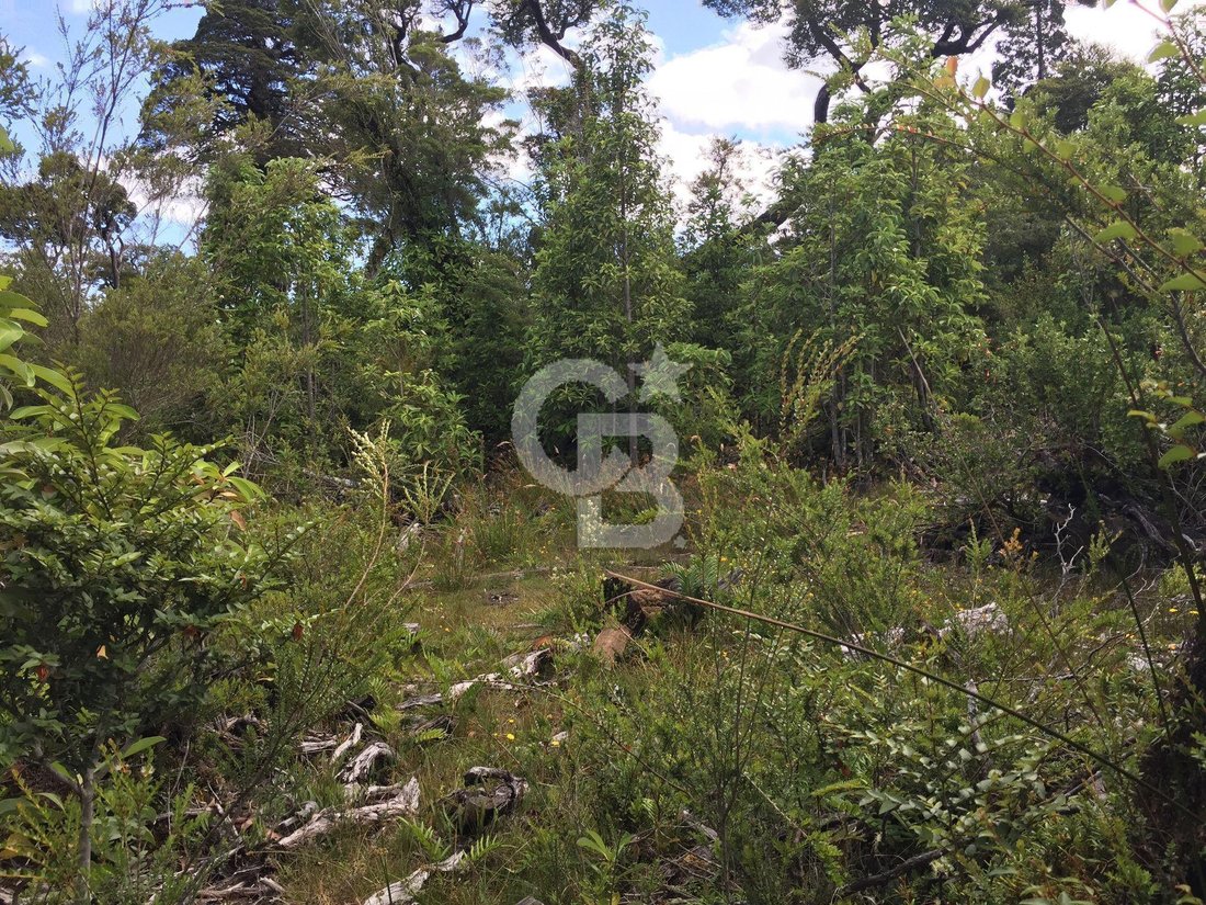 Estate in Rio Negro, Los Lagos, Chile 5 - 18016584