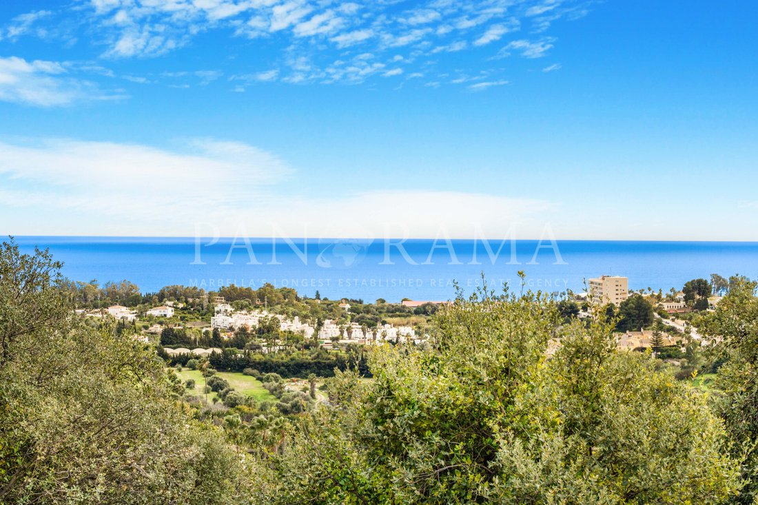 Villa in Estepona, Andalusia, Spain 4 - 14079107