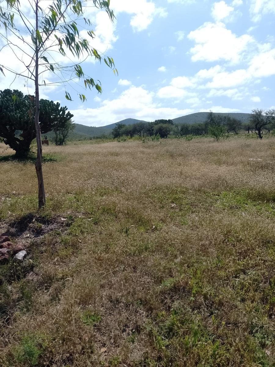 Land in Tolimán, Querétaro, Mexico 2 - 18015486