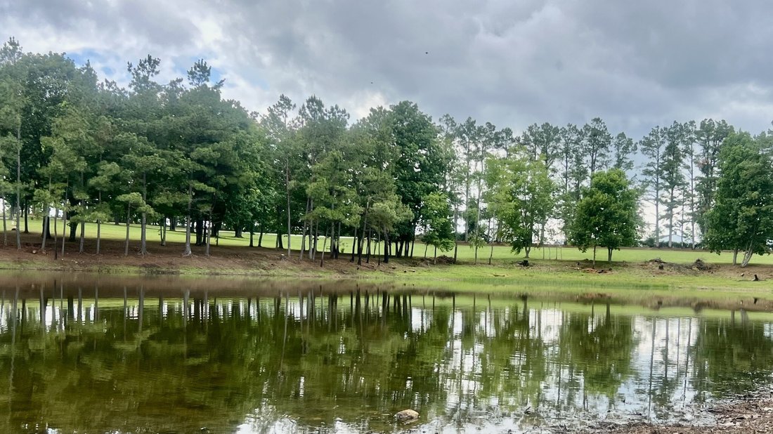 Land in Ethridge, Tennessee, United States 4 - 18015959