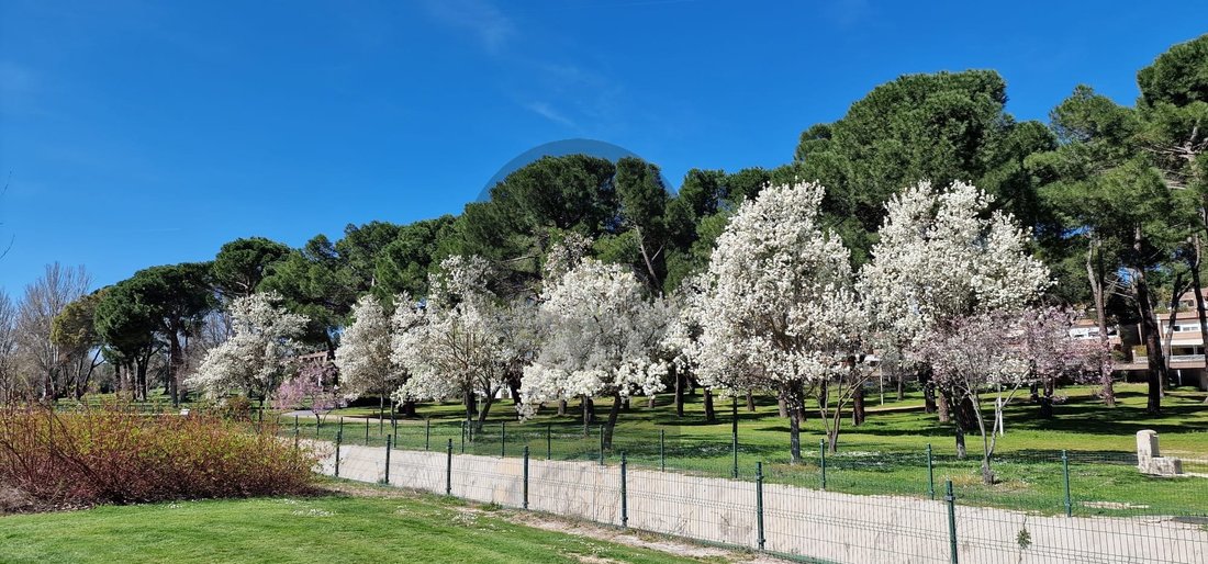 Apartment in Moncloa-Aravaca, Madrid, Spain 1 - 16850796