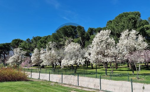 Apartamento en Aravaca, Madrid, España 1