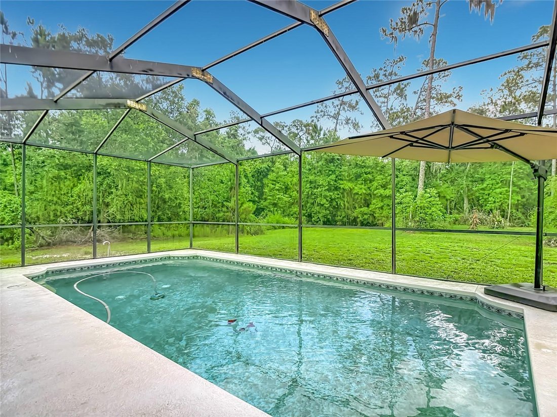 House in Zephyrhills, Florida, United States 4 - 18019588