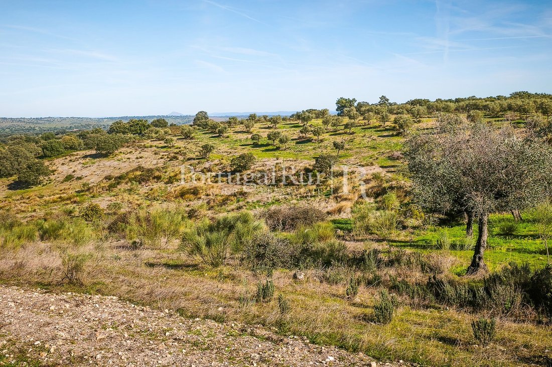 Estate in Rosmaninhal, Castelo Branco District, Portugal 5 - 18020705