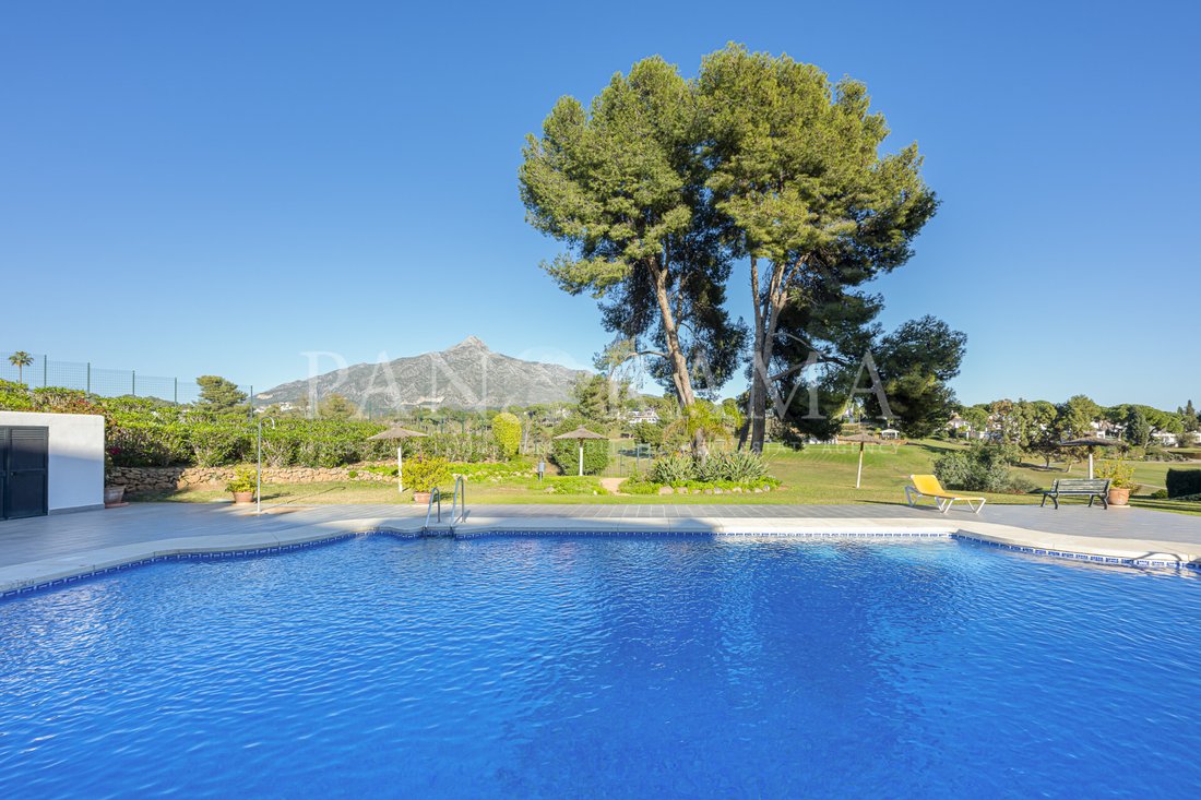 Townhouse in Nueva Andalucia, Marbella, Spain 4 - 15123500