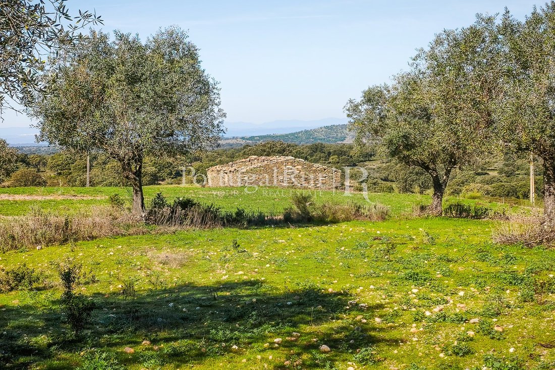 Estate in Rosmaninhal, Castelo Branco District, Portugal 1 - 18020705