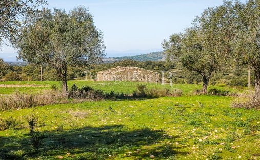 Tenuta a Rosmaninhal, Distretto di Castelo Branco, Portogallo 1