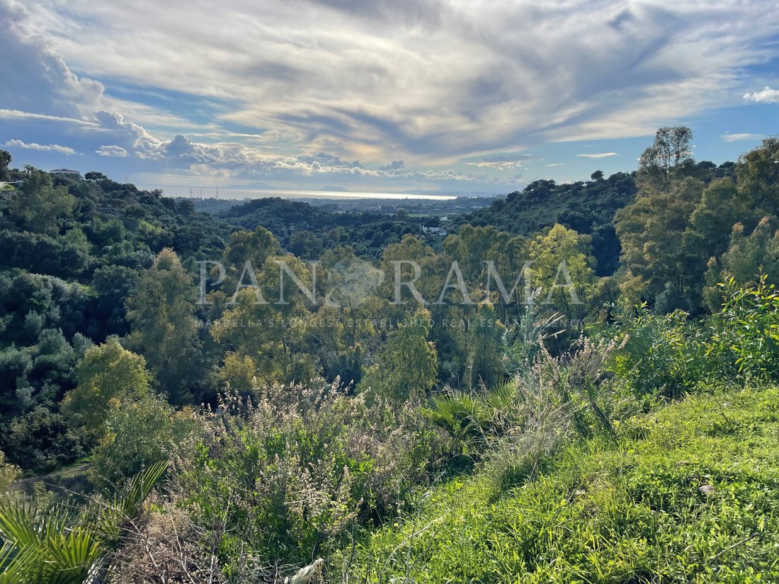 Land in Estepona, Andalusia, Spain 2 - 10568364