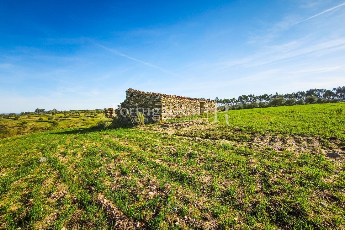 Estate in Rosmaninhal, Castelo Branco District, Portugal 4 - 18020705