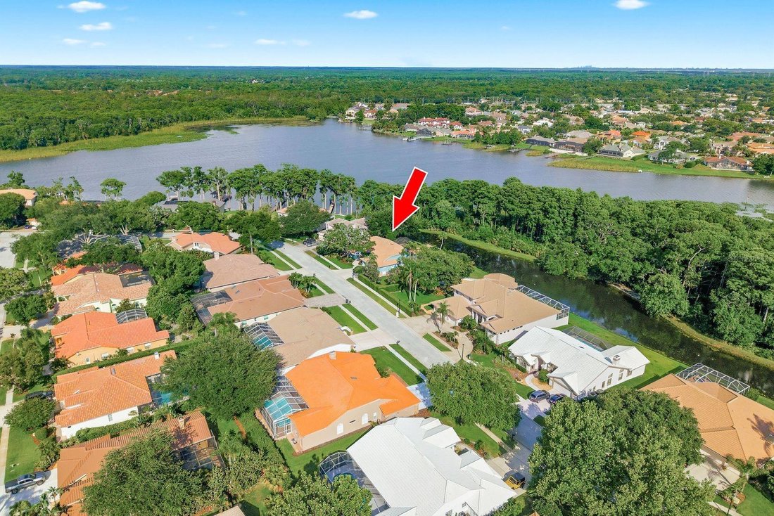 House in Palm Harbor, Florida, United States 2 - 18018215