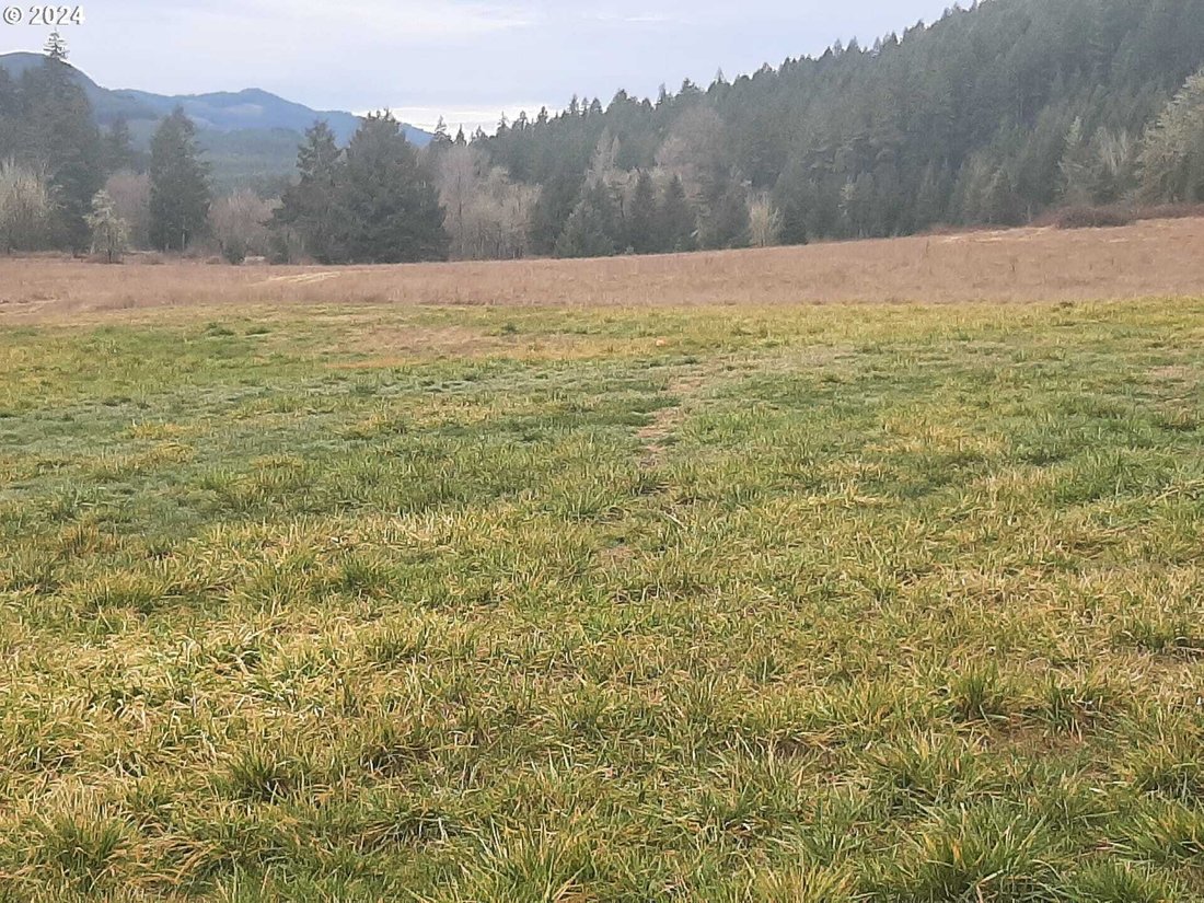 Condo in Dorena, Oregon, United States 2 - 18019238