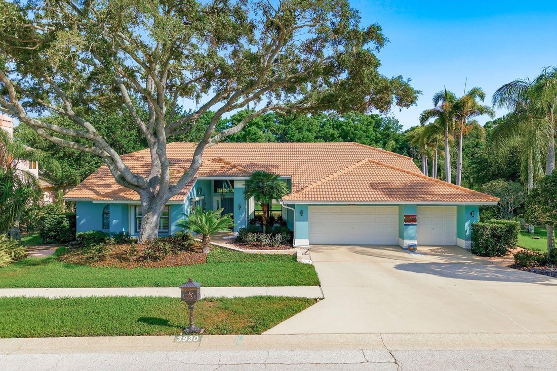 House in Palm Harbor, Florida, United States 1 - 18018215