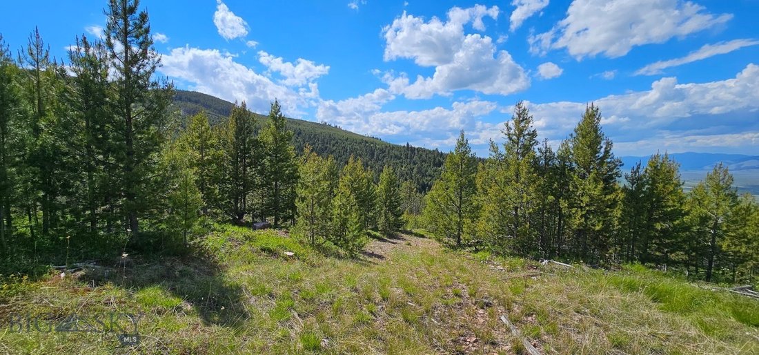 Land in Helmville, Montana, United States 4 - 18018013