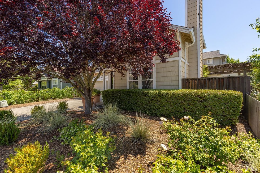 House in St. Helena, California, United States 4 - 18020493