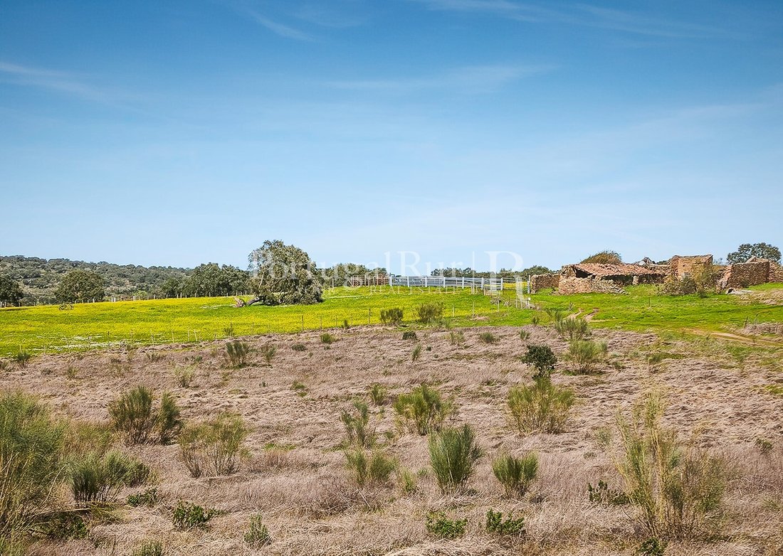 Estate in Rosmaninhal, Castelo Branco District, Portugal 2 - 18020705