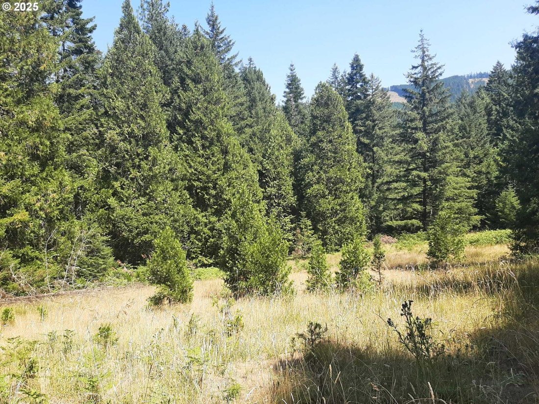 Land in Days Creek, Oregon, United States 5 - 18019198