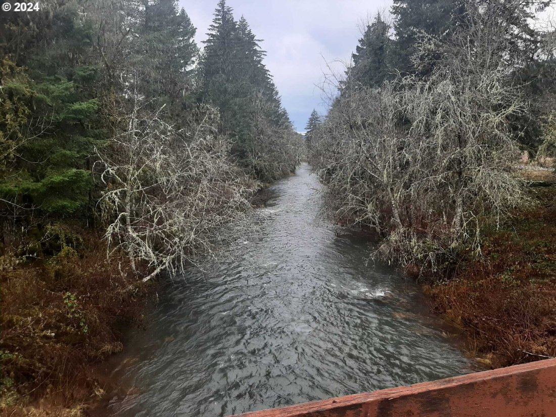 Condo in Dorena, Oregon, United States 4 - 18019238