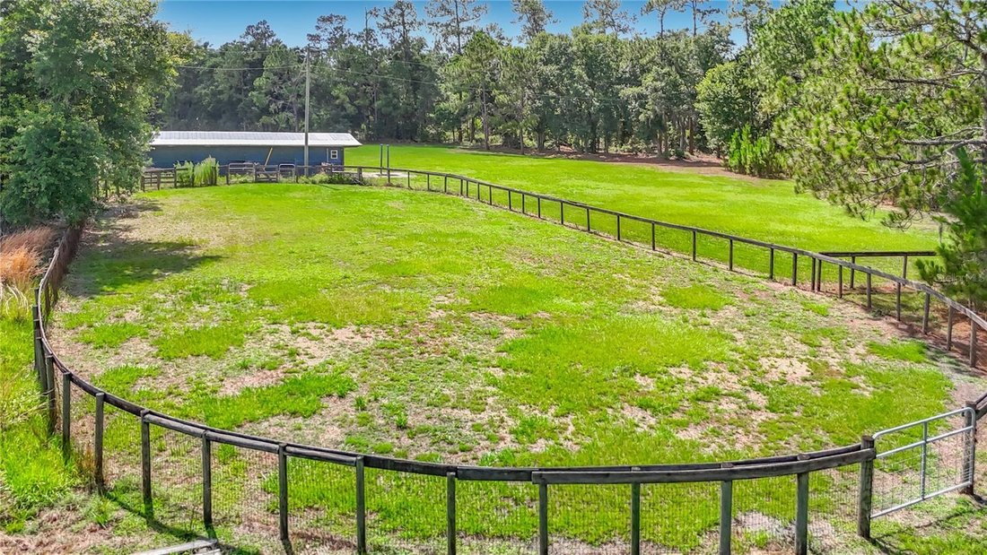 House in Zephyrhills, Florida, United States 3 - 18019588
