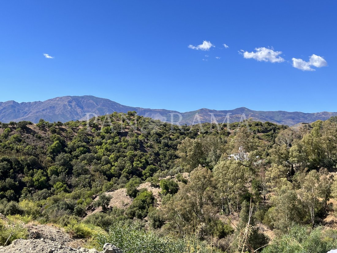 Land in Estepona, Andalusia, Spain 1 - 14341297
