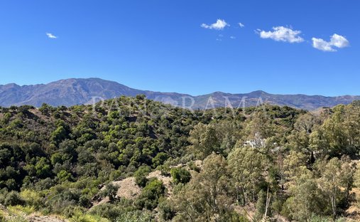 Land in Estepona, Andalusia, Spain 1