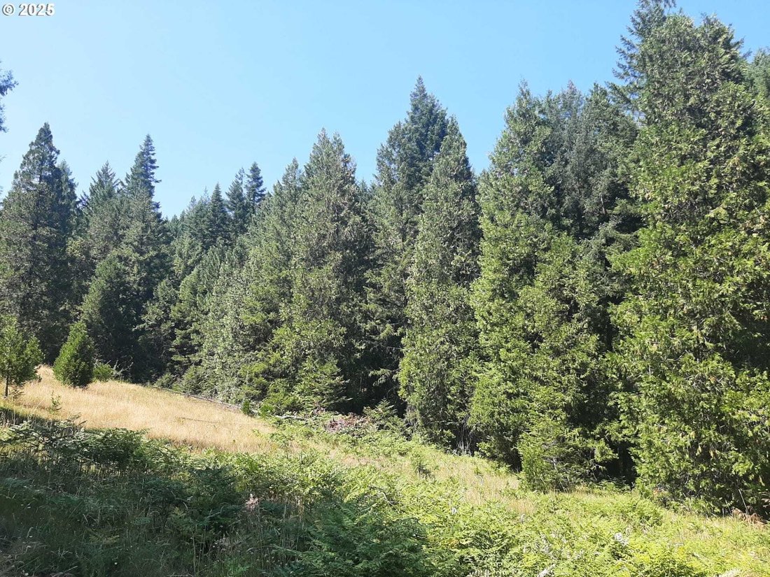 Land in Days Creek, Oregon, United States 4 - 18019198