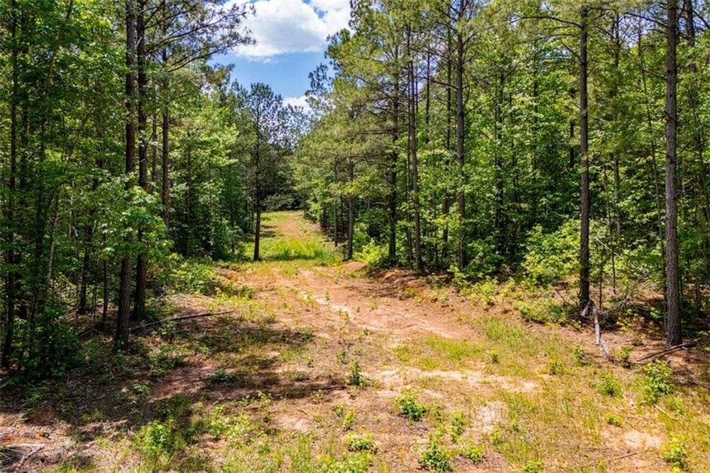Land in Waco, Georgia, United States 5 - 18021051