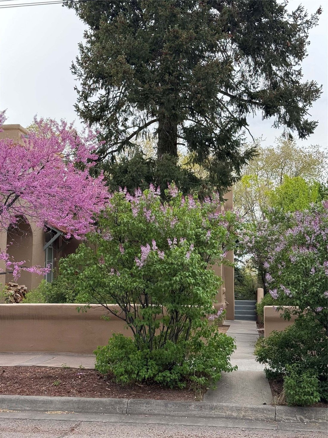 Condo in Santa Fe, New Mexico, United States 4 - 18021499