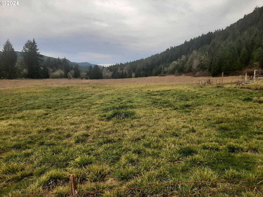 Condo in Dorena, Oregon, United States 3 - 18019238