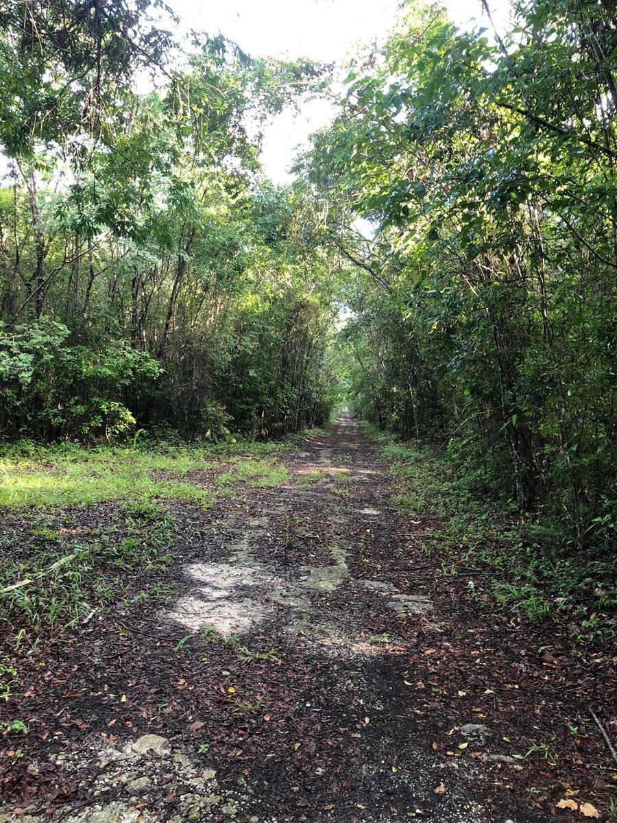 Land in Puerto Morelos, Quintana Roo, Mexico 5 - 18017867