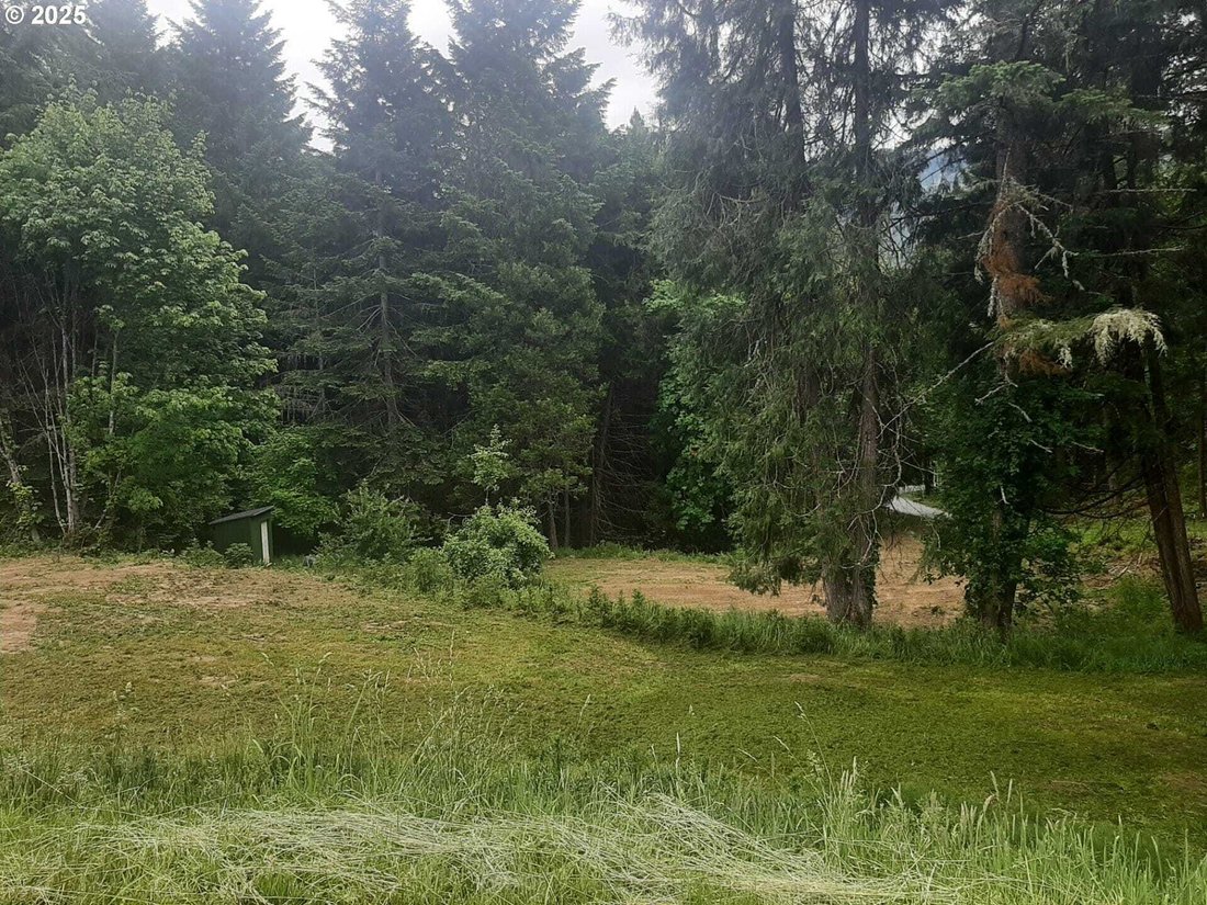 Condo in Days Creek, Oregon, United States 5 - 18019176