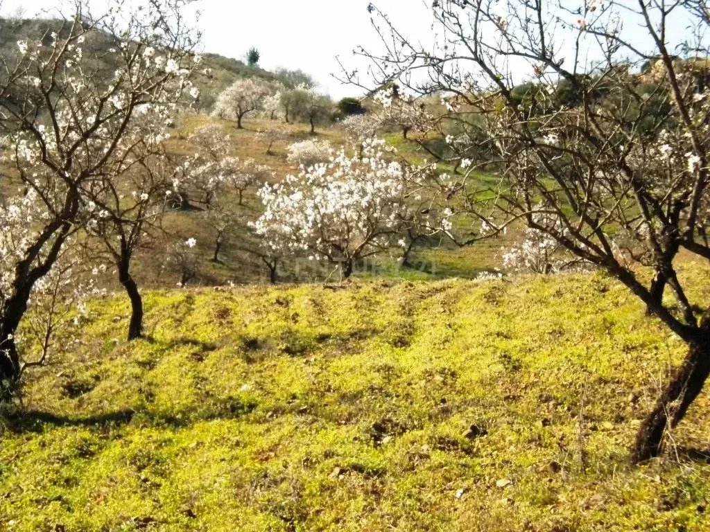 Terreno en Cártama, Andalucía, España 5 - 17438945