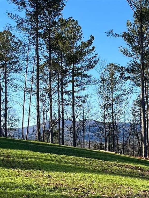 Land in Dahlonega, Georgia, United States 4 - 17954719