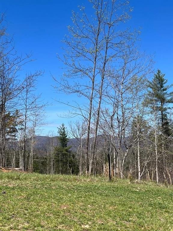 Land in Dahlonega, Georgia, United States 5 - 17954719