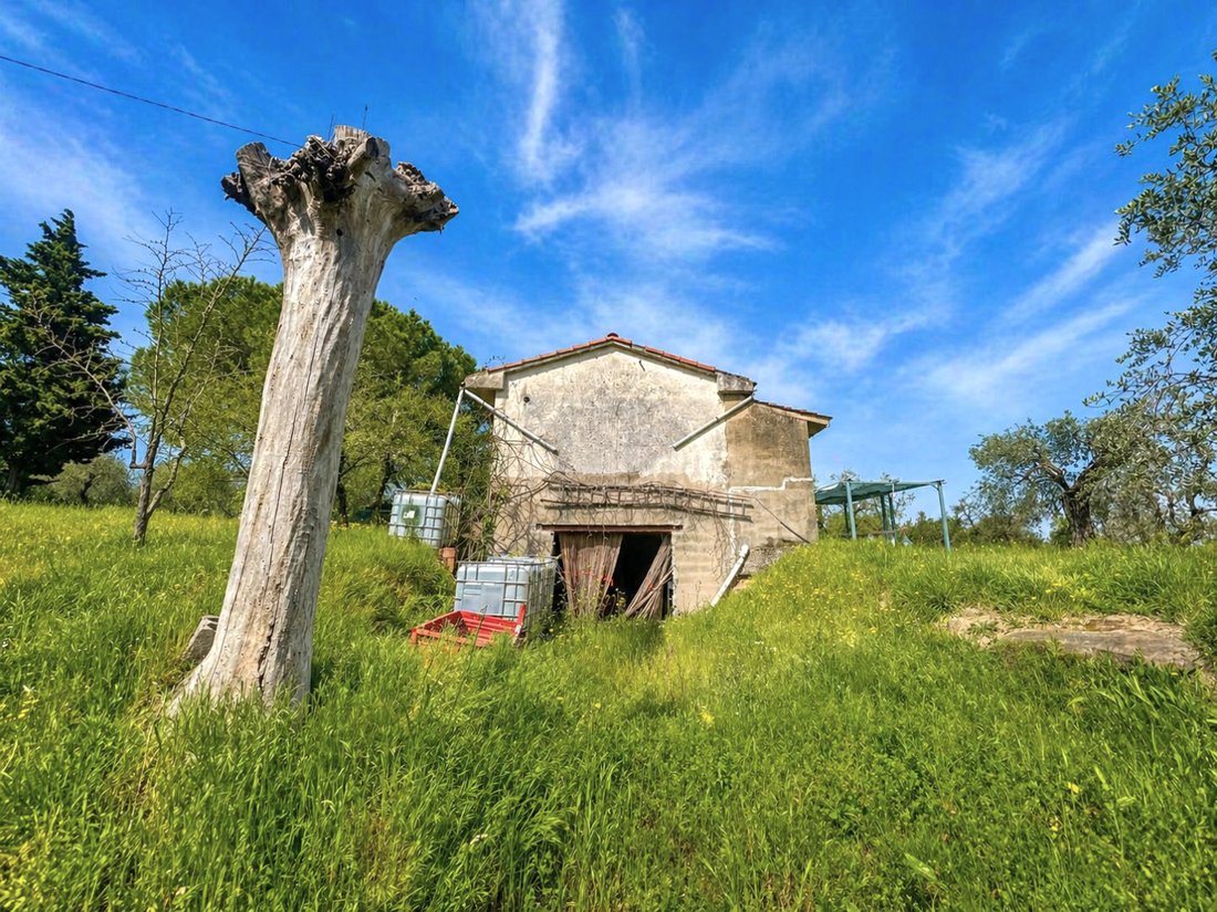 House in Palaia, Tuscany, Italy 2 - 18019974