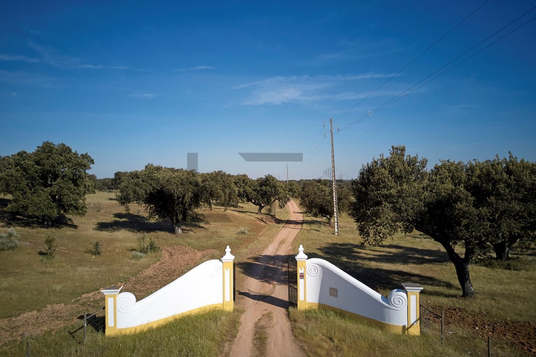 Estate in Monforte, Portalegre District, Portugal 5 - 18020719