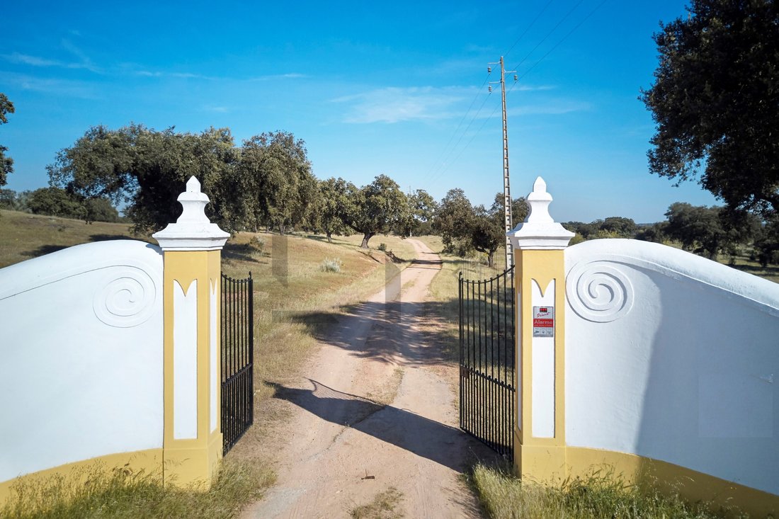 Estate in Monforte, Portalegre District, Portugal 2 - 18020719