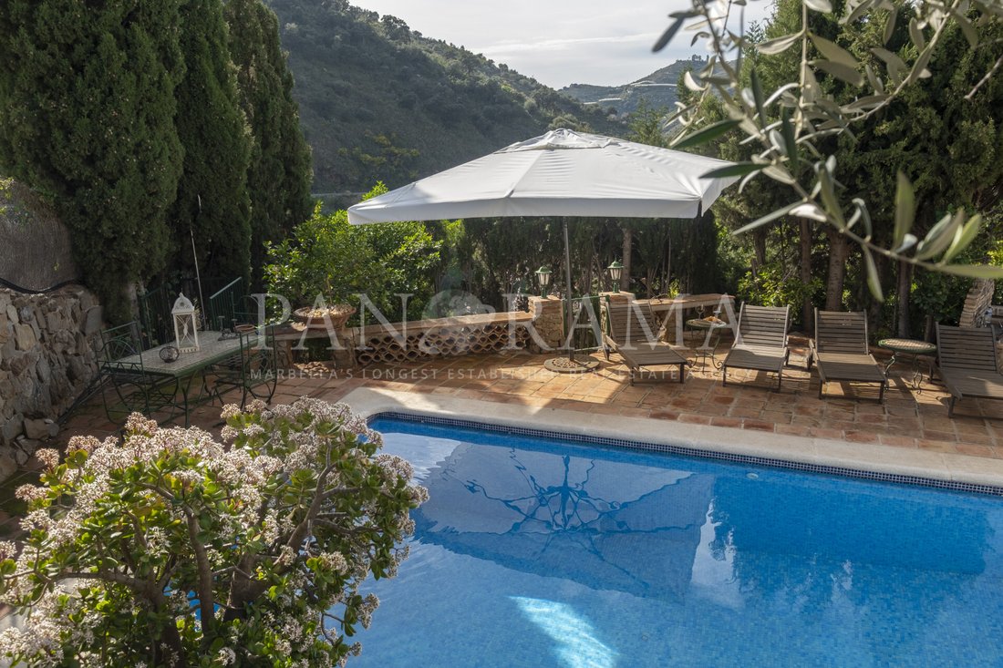Villa in Sayalonga, Andalusia, Spain 3 - 16533466