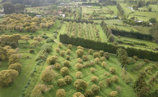 Farm Ranch in Mangawhai, Northland, New Zealand 1