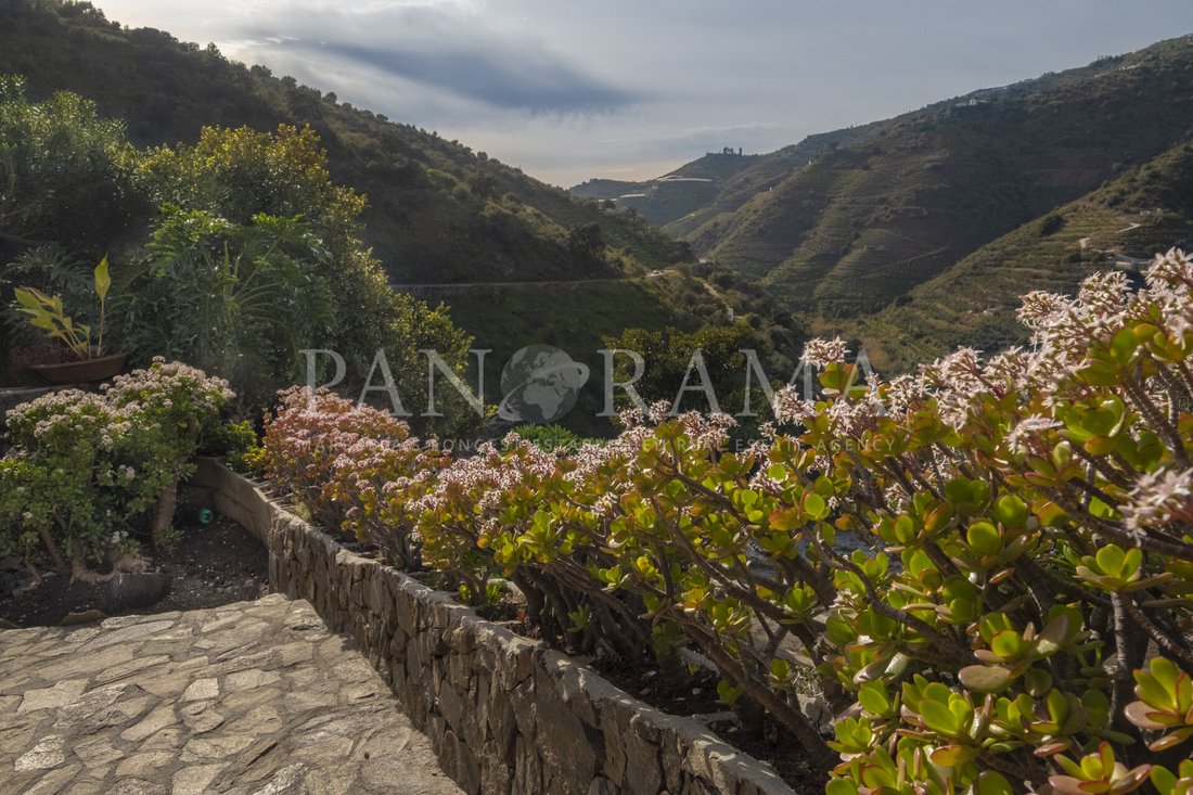 Villa in Sayalonga, Andalusia, Spain 5 - 16533466