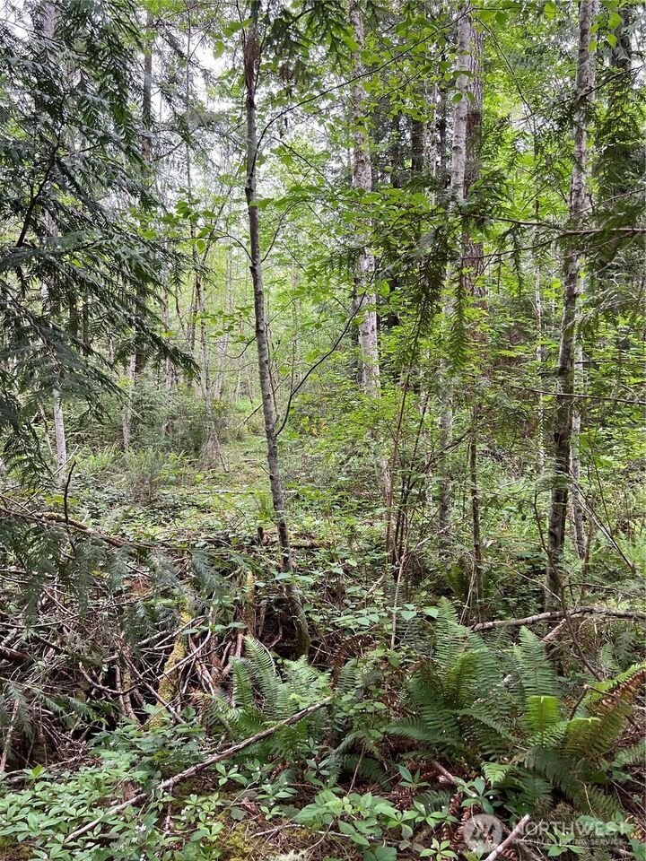 Land in Seabeck, Washington, United States 3 - 18022121