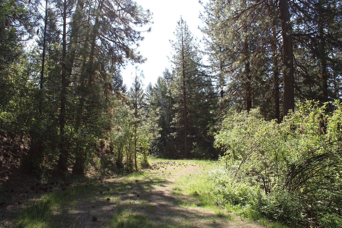 Land in Coeur d'Alene, Idaho, United States 3 - 18022069