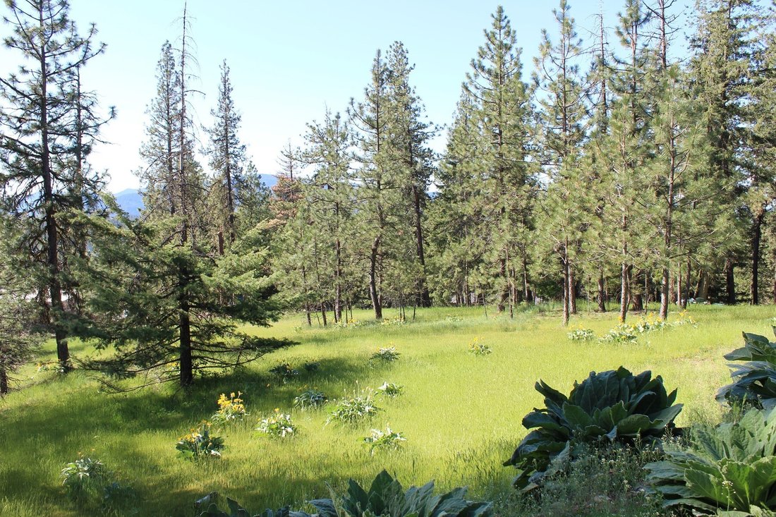 Land in Coeur d'Alene, Idaho, United States 2 - 18022069