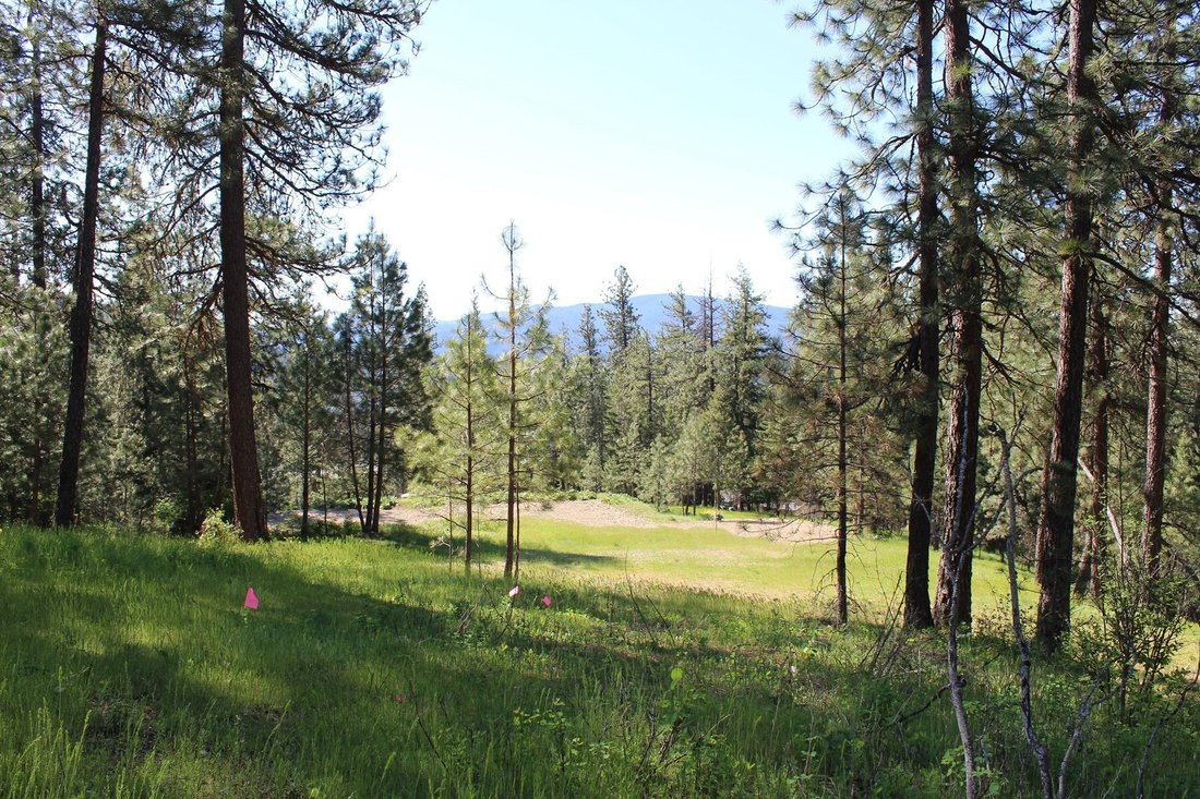 Land in Coeur d'Alene, Idaho, United States 1 - 18022069