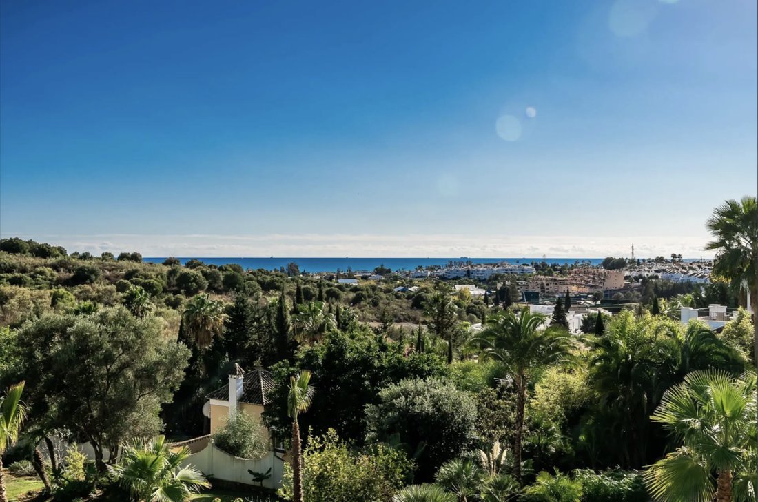 Villa in El Paraíso, Benahavis, Spain 2 - 16163511
