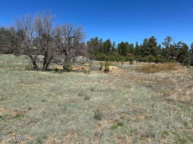 Maison à Show Low, Arizona, États-Unis 5 - 17791330