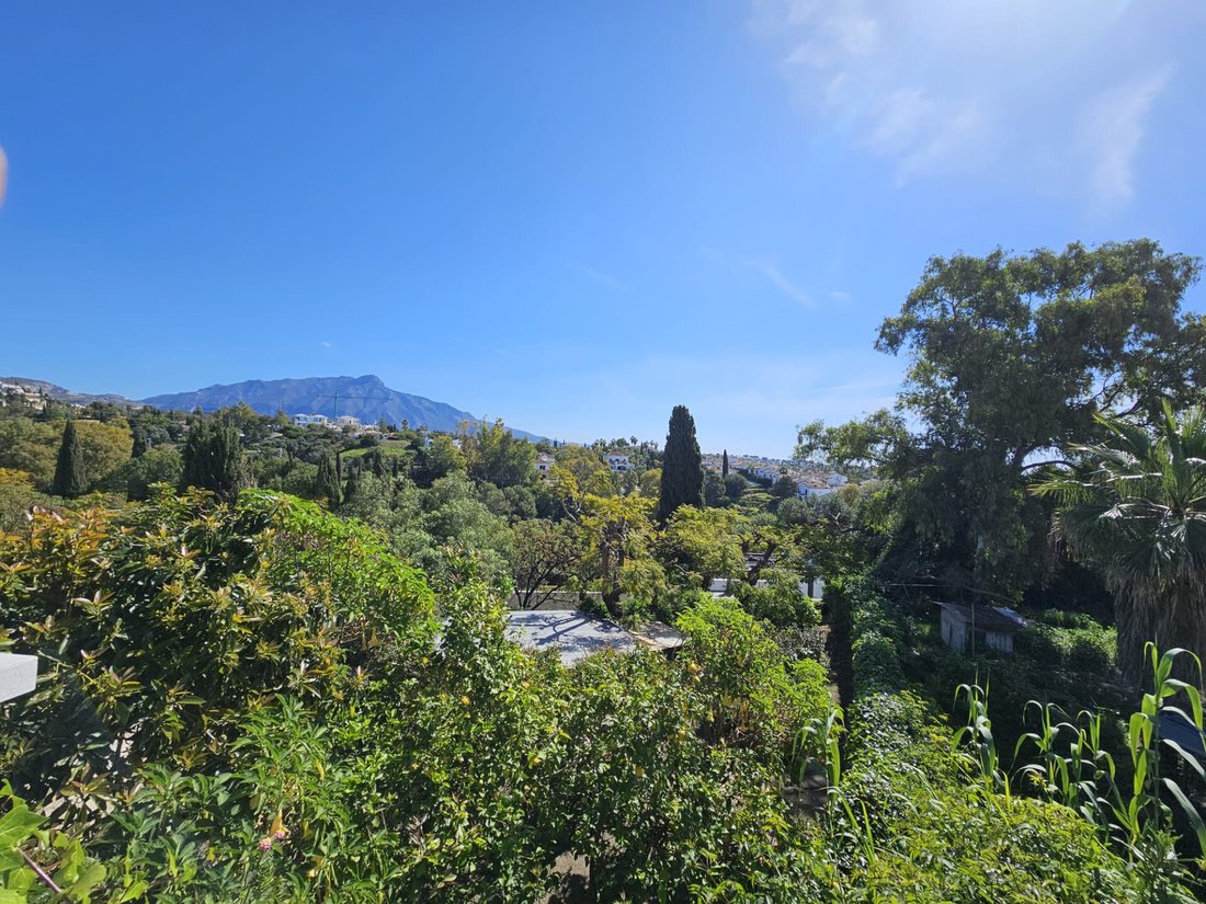 Villa in La Quinta, Benahavis, Andalusia 3 - 15460592