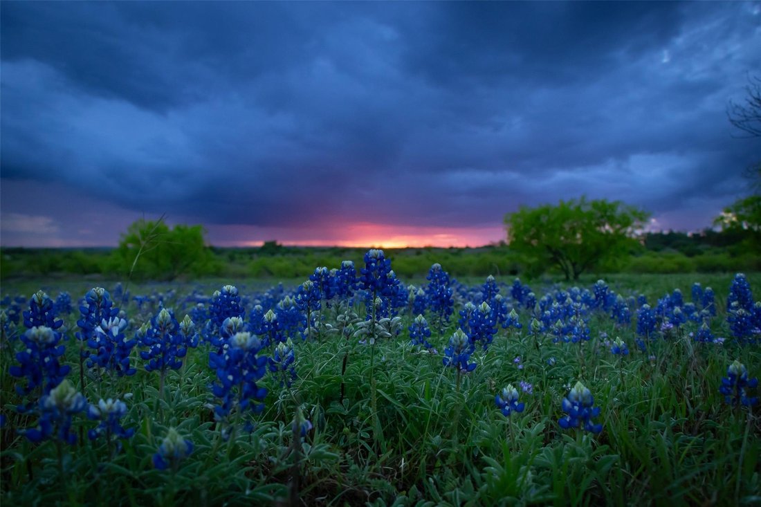 House in Fredericksburg, Texas, United States 1 - 18022241