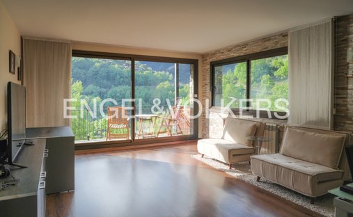 Apartment in La Massana, La Massana, Andorra 1