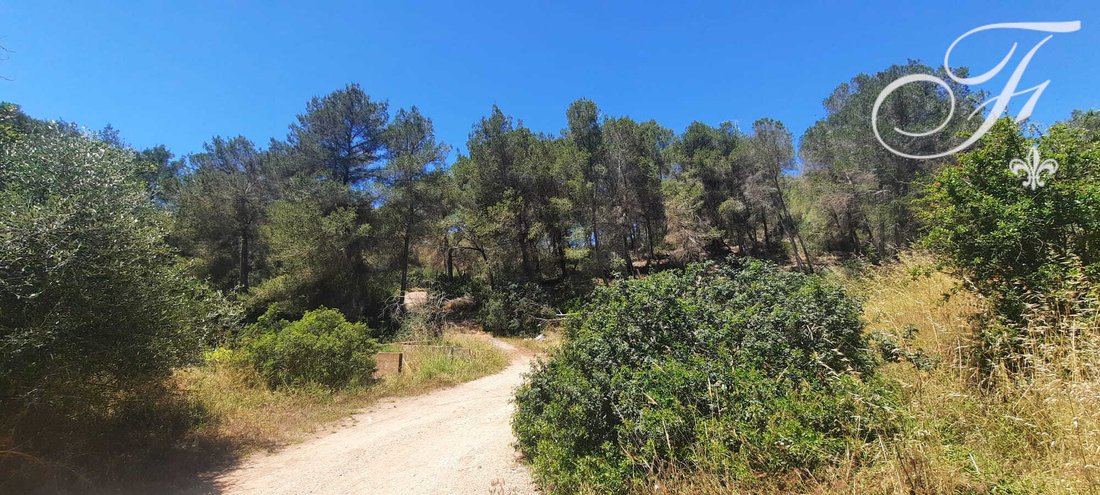 Land in Sant Josep de sa Talaia, Balearic Islands, Spain 1 - 18023259