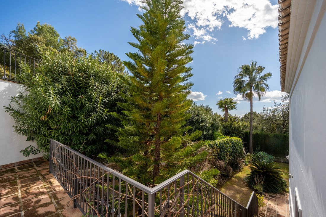 Villa in Istan, Andalusia, Spain 5 - 15378357